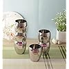 Stainless Steel Sleek Polished Tumbler Glass Set of 4